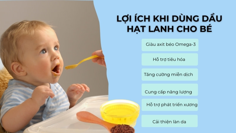 6 lợi ích khi dùng dầu hạt lanh cho bé ăn dặm 14 Lợi ích khi dùng dầu hạt lanh cho bé
