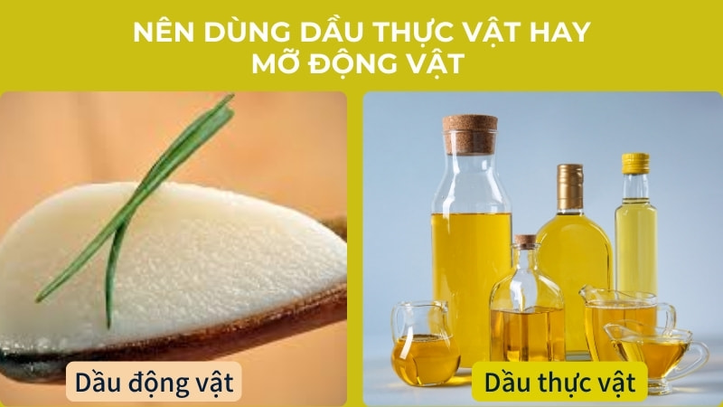 Các loại dầu ăn trên thị trường, nên dùng loại nào 10 Nên dùng dầu thực vật hay mỡ động vật