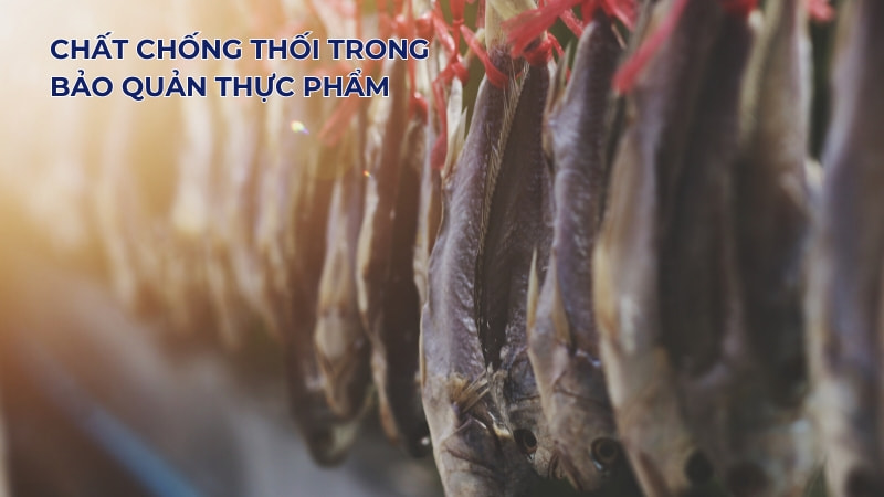10 ứng dụng của SO2 trong đời sống 19 Chất chống thối trong bảo quản thực phẩm