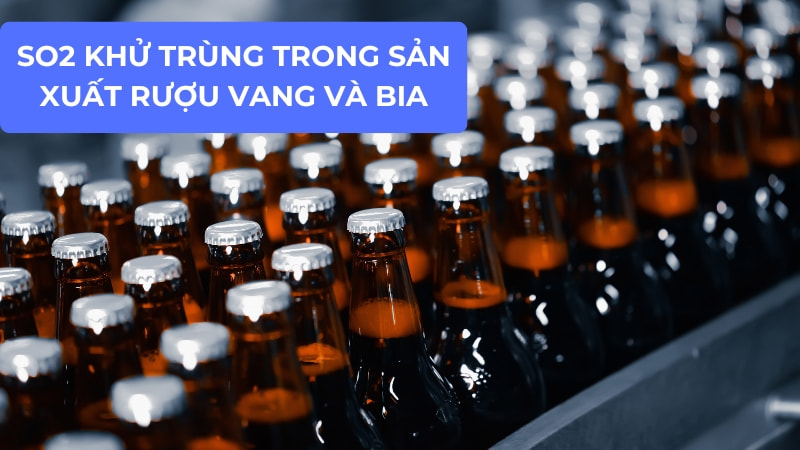 10 ứng dụng của SO2 trong đời sống 12 Chất khử trùng trong sản xuất rượu vang và bia