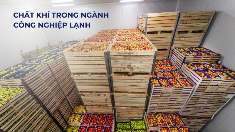 10 ứng dụng của SO2 trong đời sống 18 Chất khí trong ngành công nghiệp lạnh