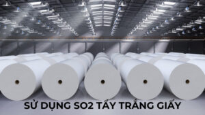 Sử dụng SO2 để tẩy trắng giấy