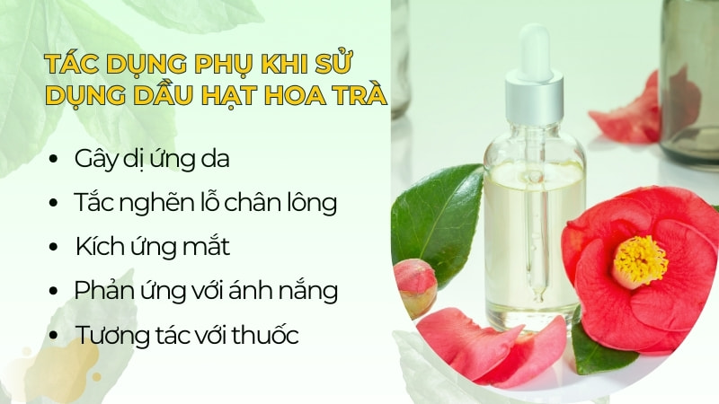 Công dụng và tác dụng phụ của dầu hoa trà (Camellia Oil) 14 Tác dụng phụ khi sử dụng dầu hạt hoa trà