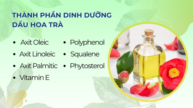 Công dụng và tác dụng phụ của dầu hoa trà (Camellia Oil) 10 Thành phần dinh dưỡng bên trong dầu hoa trà