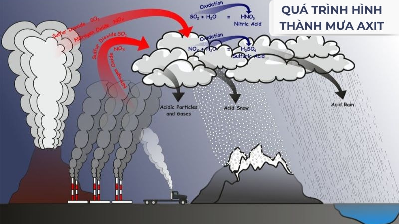 Mưa axit là gì? Nguyên nhân, tác hại và cách khắc phục 18 Quá trình hình thành mưa axit trong tự nhiên
