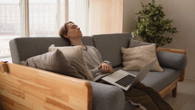 19 mẫu ghế kiêm giường ngủ được ưa chuộng hiện nay 21 Ghế sofa kiêm giường ngủ