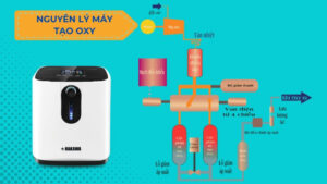 Nguyên lý máy tạo oxy