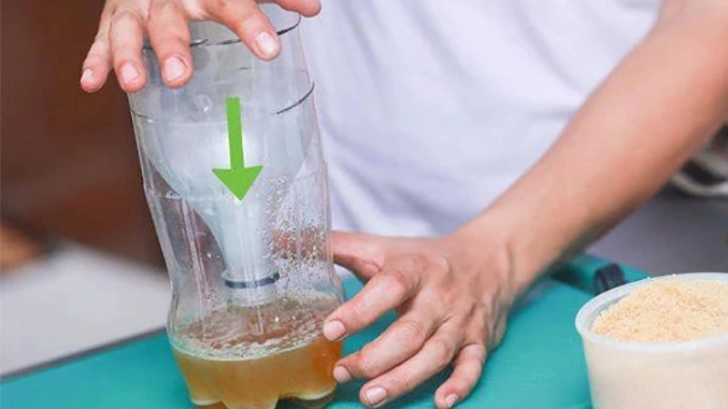 Mách bạn 20 cách đuổi muỗi hiệu quả mà không hề độc hại 25 Hướng dẫn đặt bẫy muỗi bằng bia hoặc nước đường