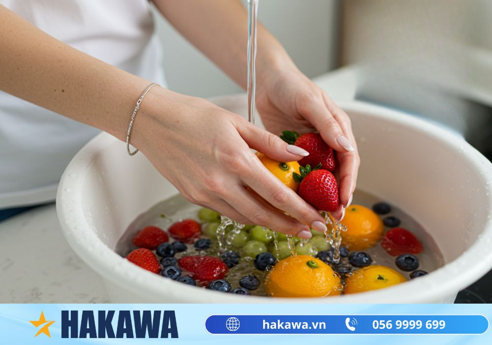 Nước sống là gì? Các thông tin về TRÀO LƯU dùng nước sống 7 Nước sống rửa trái cây rất tốt