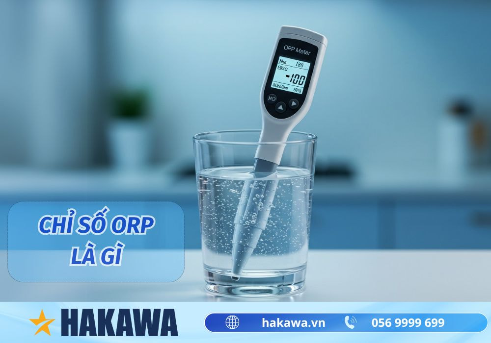 Chỉ số ORP là gì? Công dụng và cách điều chỉnh HIỆU QUẢ 9 Chỉ số ORP là gì