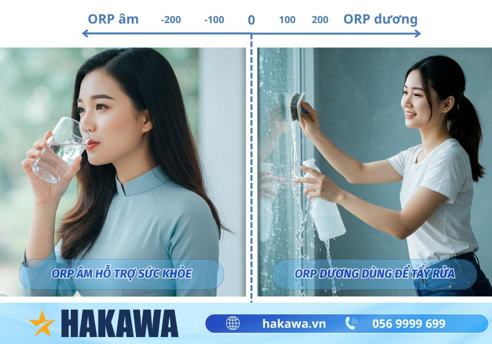 Chỉ số ORP là gì? Công dụng và cách điều chỉnh HIỆU QUẢ 10 Ý nghĩa chỉ số ORP