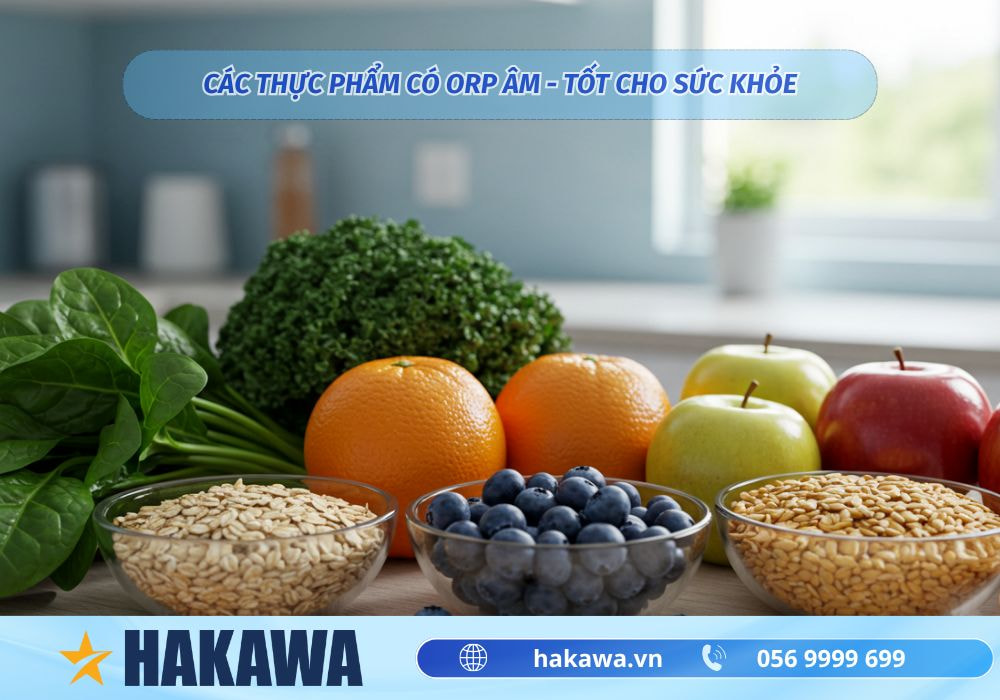 Chỉ số ORP là gì? Công dụng và cách điều chỉnh HIỆU QUẢ 13 Các loại thực phẩm có ORP âm