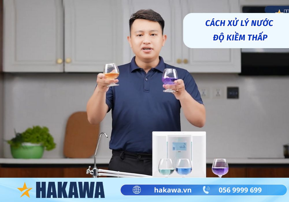 Độ pH là gì? Giá trị pH trong các loại nước uống 12 cách xử lý nước có độ kiềm thấp
