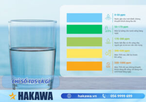 Chỉ số TDS là gì