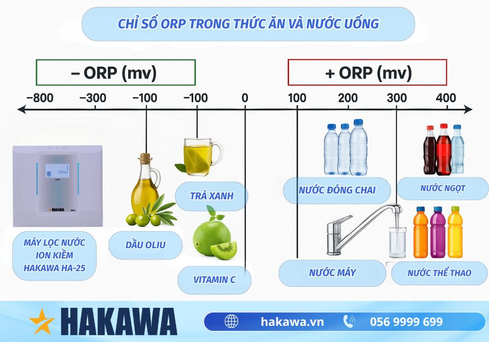 Chỉ số ORP là gì? Công dụng và cách điều chỉnh HIỆU QUẢ 12 Chỉ số ORP trong thức ăn và nước uống