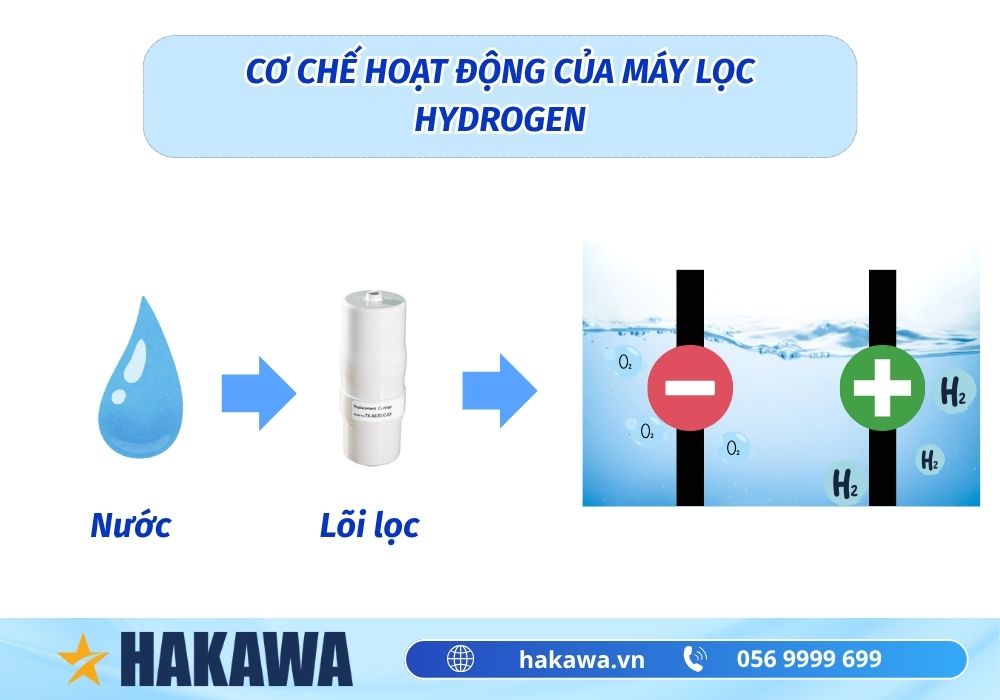 Máy lọc nước Hydrogen là gì? Cấu tạo và lợi ích máy hydrogen 4 cơ chế hoạt động của máy hydrogen