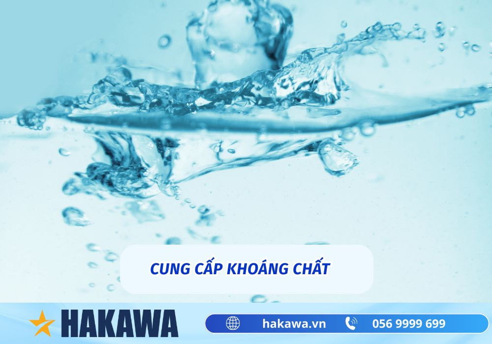 Nước ion kiềm giải rượu được không theo khoa học 14 nước điện giải giúp cung cấp khoáng chất