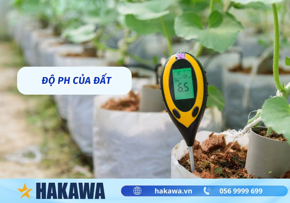 Độ pH là gì? Giá trị pH trong các loại nước uống 9 Độ pH của đất