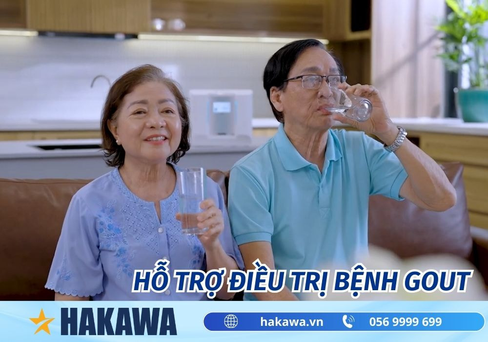 Nước ion kiềm pH 9.5 là gì? Lợi ích và cách sử dụng HIỆU QUẢ 19 Hỗ trợ điều trị bệnh gout