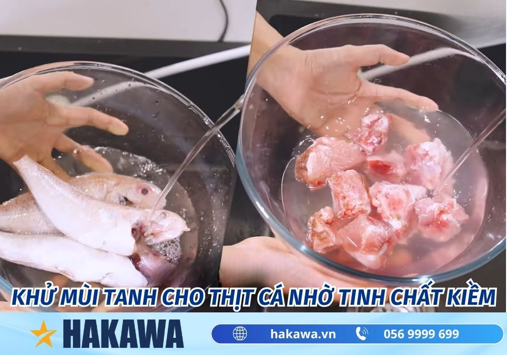 Nước ion kiềm có nấu ăn được không ? AN TOÀN hay độc hại ? 17 Khử mùi tanh cho thịt cá nhờ tinh chất kiềm