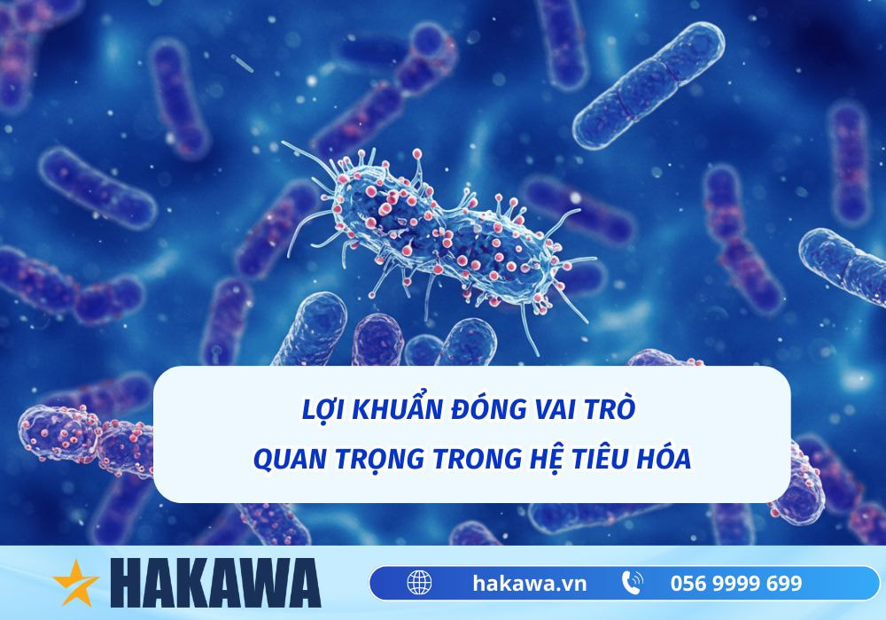 Nước ion kiềm có THẬT SỰ tốt cho người đau dạ dày không? 13 nước ion kiềm giúp tạo điều kiện lý tưởng cho lợi khuẩn