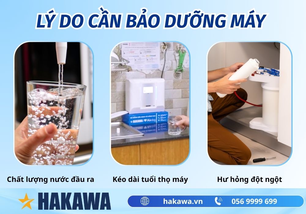 Gợi ý cách bảo dưỡng máy lọc nước ion kiềm ĐÚNG CHUẨN 7 Lý do bảo dưỡng máy lọc nước kiềm