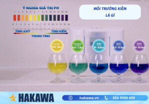 môi trường kiềm là gì