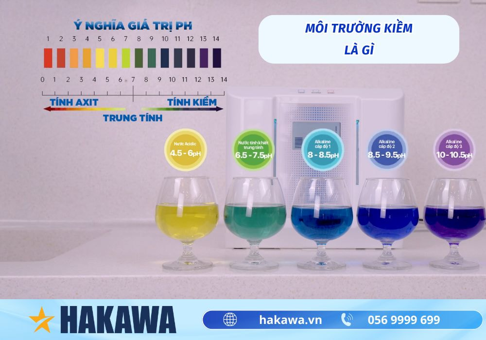 Môi trường kiềm là gì và 4 cách tạo môi trường kiềm HIỆU QUẢ 7 môi trường kiềm là gì