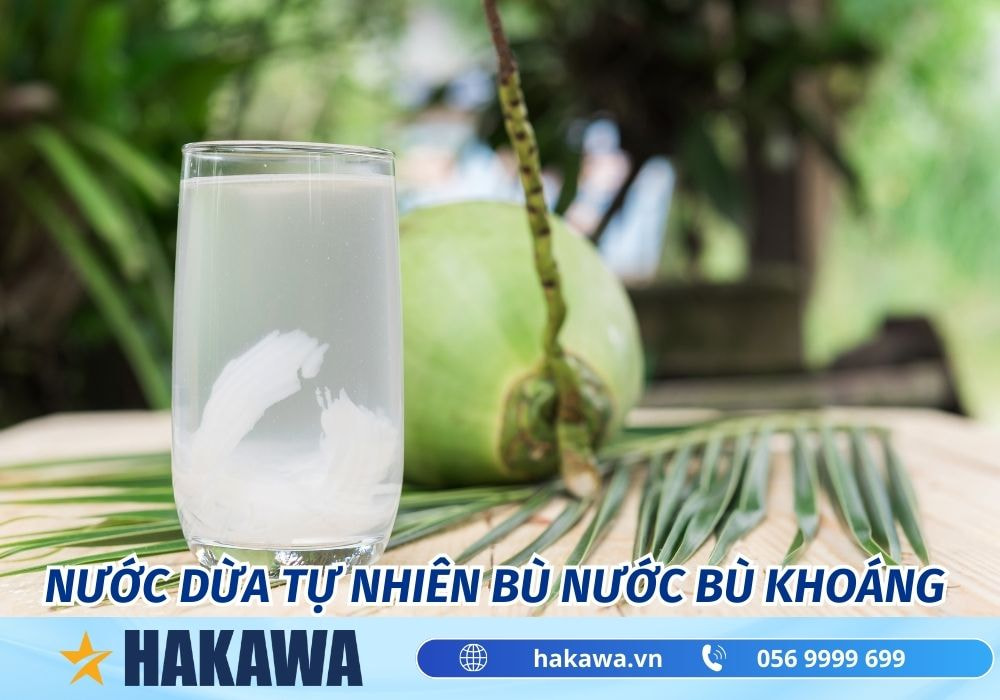 Nước điện giải là gì ? CÓ NÊN uống thay nước lọc không ? 9 Nước từ trái dừa cung cấp nước bù khoáng rất tốt