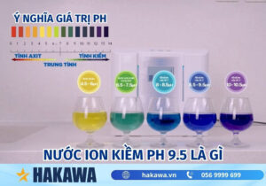 Nước ion kiềm 9.5 pH là gì