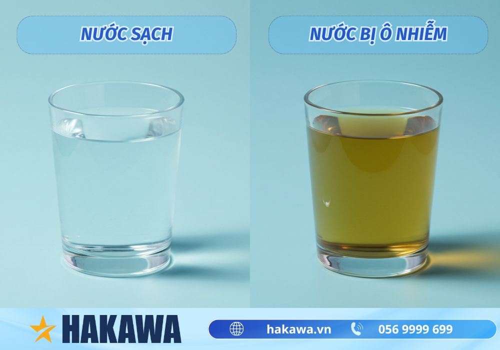 5 cách kiểm tra nước sạch tại nhà chính xác và dễ thực hiện 9 Cách nhận biết nước bị ô nhiễm bằng mắt thường