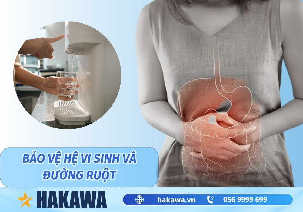 Nước tinh khiết là gì ? 9+ Lợi ích cho sức khỏe của bạn 11 Nước tinh khiết giúp bảo vệ hệ vi sinh đường ruột