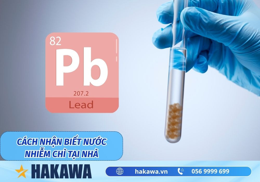 Nước nhiễm chì là gì ? Nguyên nhân và cách khắc phục 9 Cách nhận biết nước nhiễm chì tại nhà