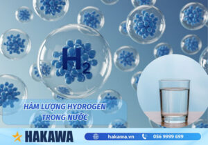 Hàm lượng hydrogen trong nước
