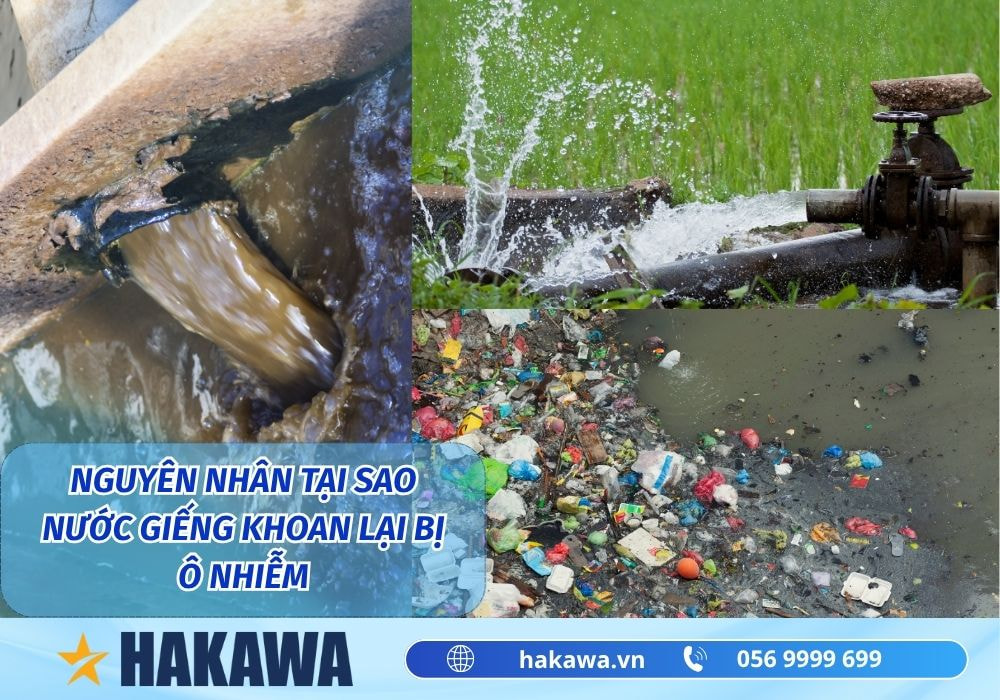 Nước giếng khoan có sạch không ? Có uống được không ? 10 Nguyên nhân tại sao nước giếng khoan lại bị ô nhiễm