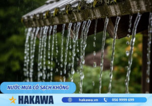 Nước mưa có sạch không ?