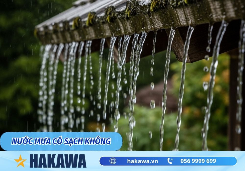 Nước mưa có sạch không ?