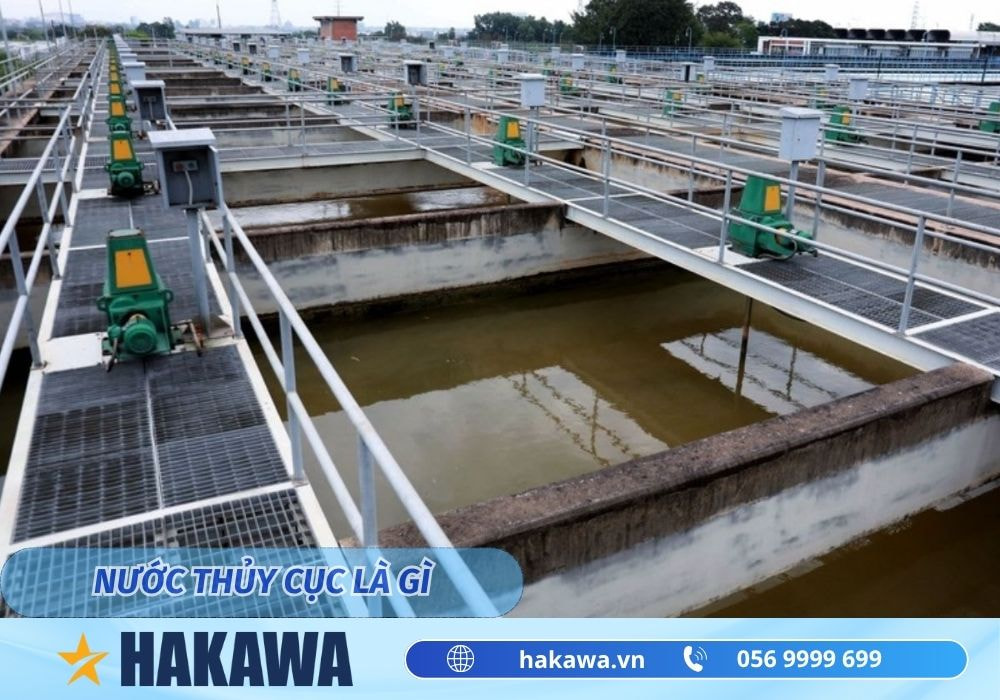 Nước thủy cục là gì ? Có nên sử dụng nước thủy cục không ? 5 Nước thủy cục là gì