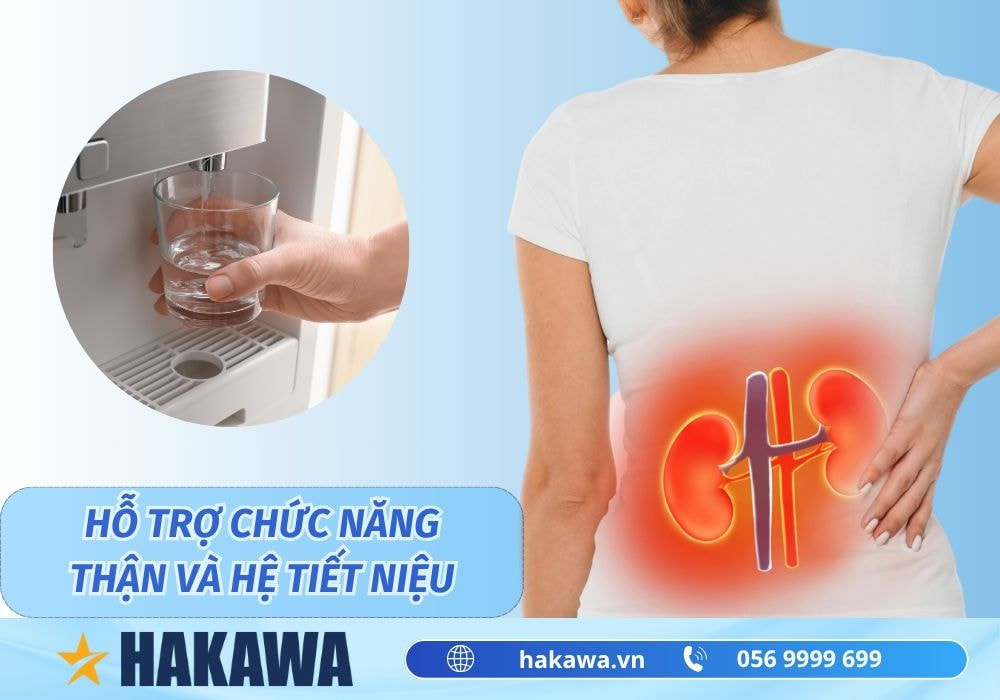 Nước tinh khiết là gì ? 9+ Lợi ích cho sức khỏe của bạn 10 Nước tinh khiết hỗ trợ thận và hệ tiết niệu