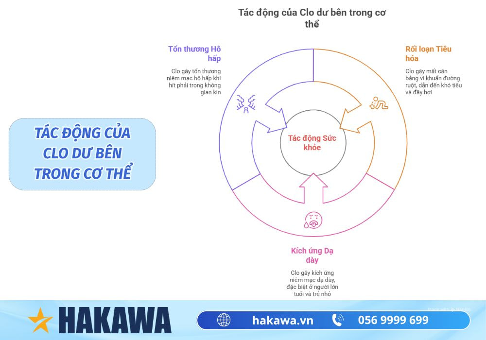 Clo là chất gì? Cách xử lý Clo dư trong nước an toàn tại nhà 12 Tác động của Clo dư bên trong cơ thể