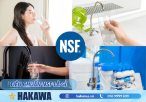 Tiêu chuẩn NSF là gì