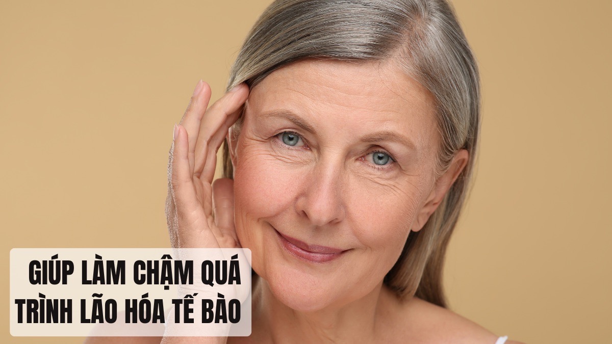 Giúp làm chậm quá trình lão hóa tế bào