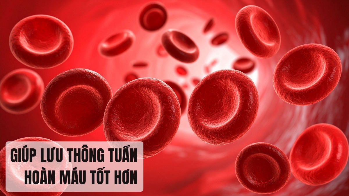 Giúp lưu thông máu tốt hơn