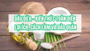 Dầu dừa – Kiến thức toàn diện: lợi ích, cách làm và bảo quản
