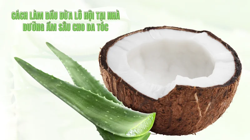 Cách làm dầu dừa lô hội tại nhà: Dưỡng ẩm sâu cho da tóc
