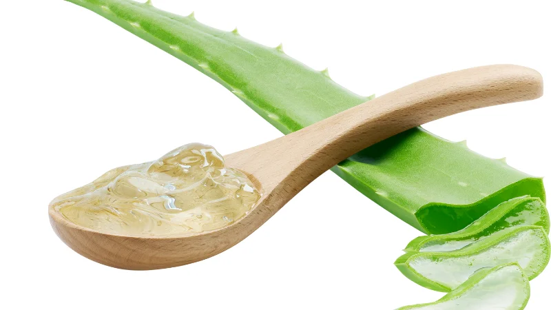 Cách làm dầu dừa lô hội tại nhà: Dưỡng ẩm sâu cho da tóc 21 Phương pháp làm truyền thống