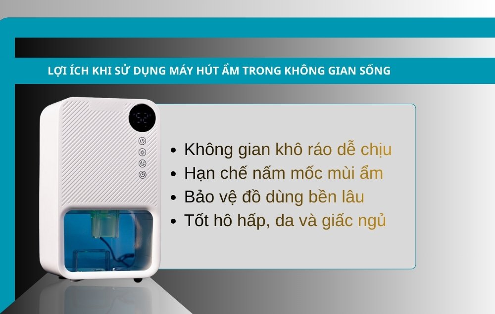 Lợi ích khi sử dụng máy hút ẩm trong không gian sống