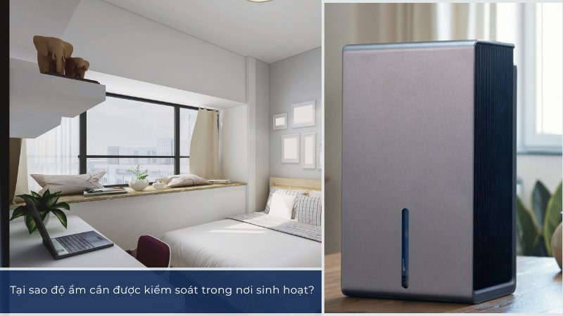 Máy hút ẩm mini Hakawa Airdog BW402 12 Tại sao độ ẩm cần được kiểm soát?