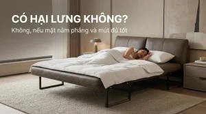 Ngủ Sofa Giường Hàng Đêm Có Hại Lưng Không